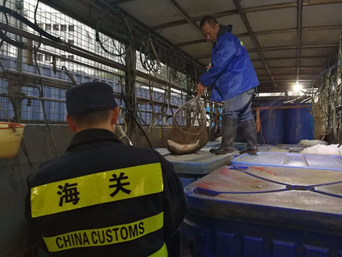 前7月文錦渡海關驗放 供港鮮活商品69萬噸