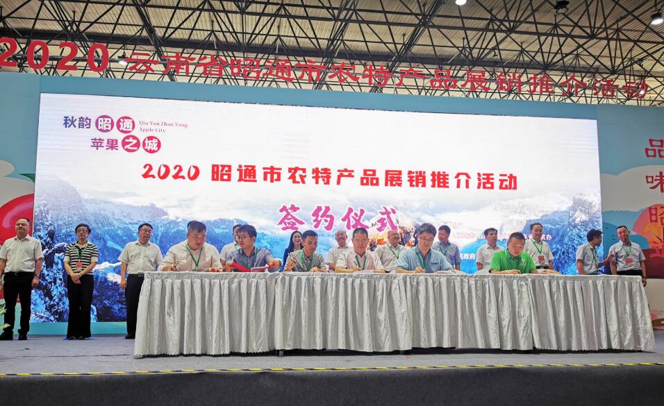 廣東消費扶貧：助力「雲品」暢銷大灣區 