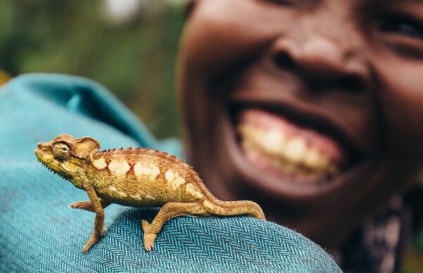 生物多樣性持續銳減 世界自然基金會促港府停止填海