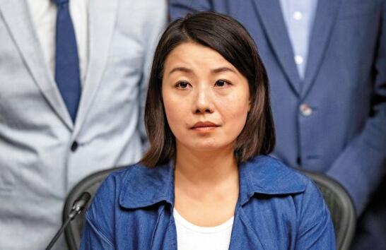 称合作未有理想效果 劉小麗宣布退出工黨