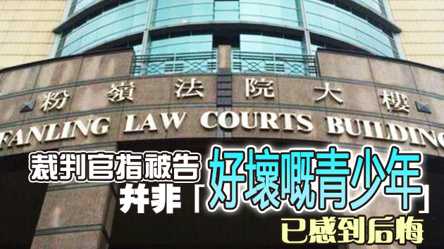 15歲少年糾黨襲擊一名男子 被判18個月感化