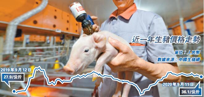 官方發文強調穩豬價 加大對繁育養殖等金融支持