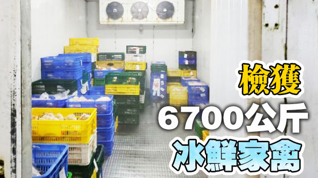 食環署搗破一间無牌凍房 1人被捕