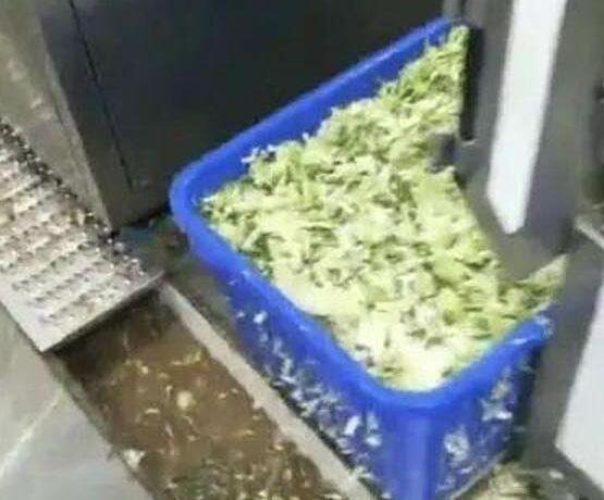 云南通报中学食堂食物变质调查结果：县教体局局长辞职