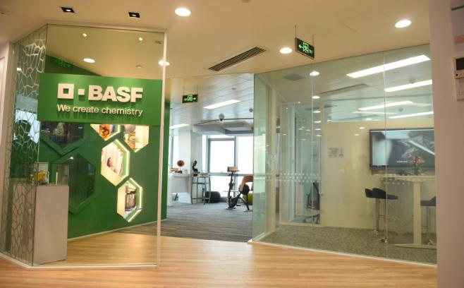 巴斯夫廣東一體化基地推進順利