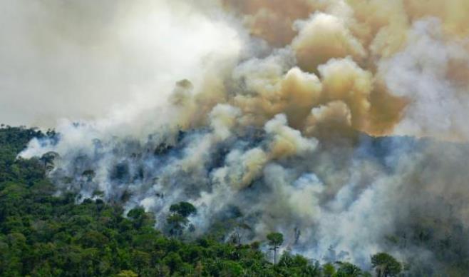 巴西一州因潘塔纳尔湿地火灾严重 全州进入紧急状态