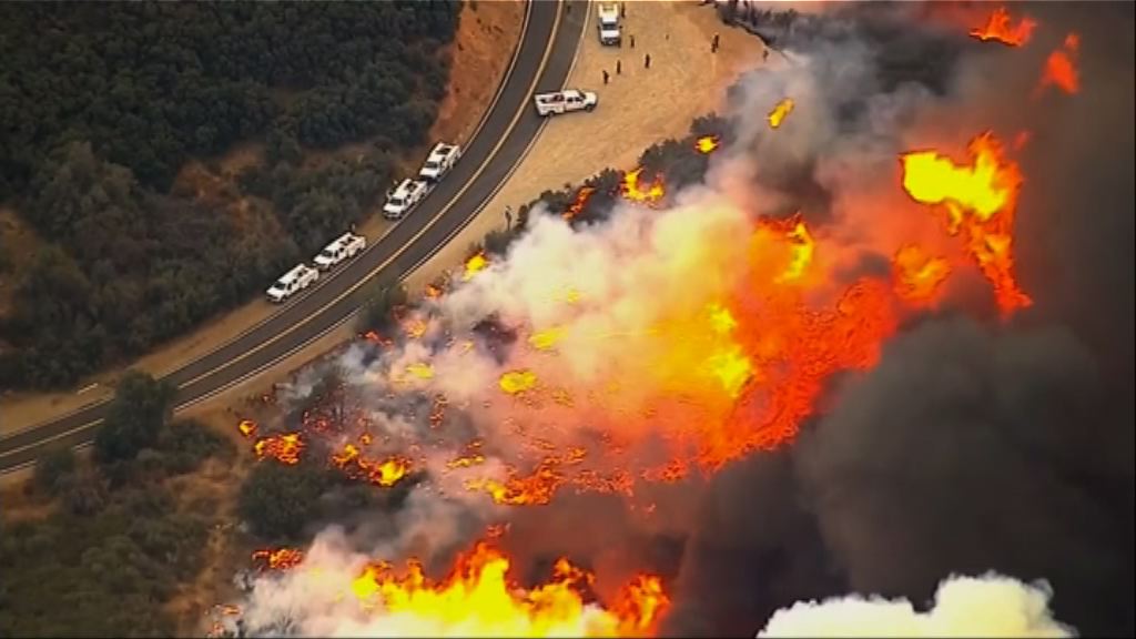 16个纽约烧没了！美国山火中「仅剩的湿气是人的眼泪」
