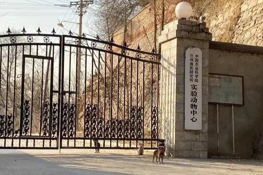 兰州兽研所布病事件确认阳性3245人