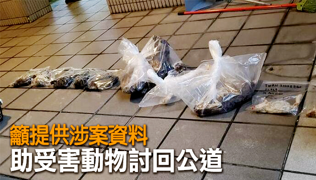 愛護動物協會促政府起訴虐殺動物疑犯