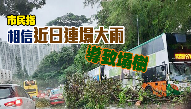 港島薄扶林道樹塌压毁3车 2人受傷