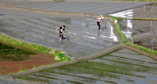 两部门：力争3到5年打造一批农耕文化实践教育基地