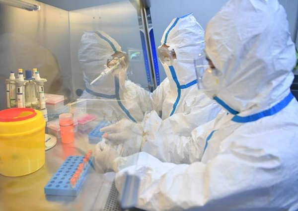 特區政府：特定群組檢測計劃已完成近50萬個新冠病毒檢測