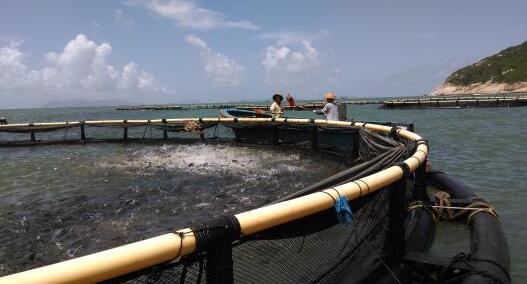 漁護署宣布星期一起新界南動物管理中心服務回復正常