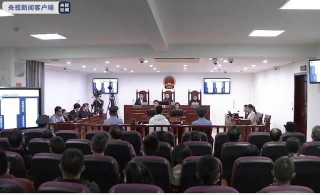 雲南昆明李心草案一审宣判 被告人被判处一年六个月