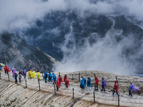 图集｜不识华山真面目 只缘雲雾漫山中