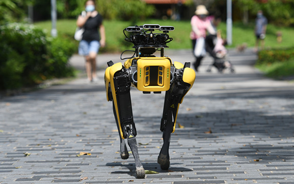 图集 | 新加坡機械狗「巡邏」抗疫