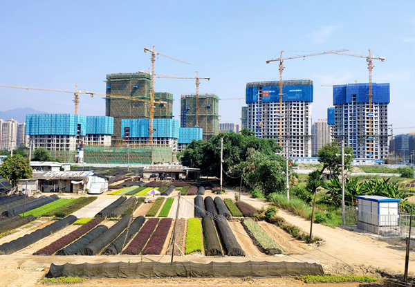 樓市今年銷售料創新高 房企融資「三道紅線」約束隱現