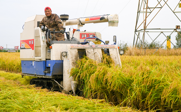 內地秋糧豐收成定局 多災之年仍有望高位增產