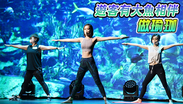 海洋公園下月推「森度遊」新招吸客