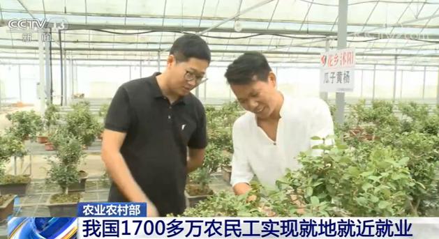 农业农村部：中国1700多万农民工实现就地就近就业