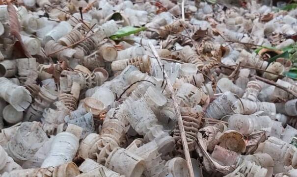 環保團體：香港槍會山坡10個泥土樣本全部重金屬超標