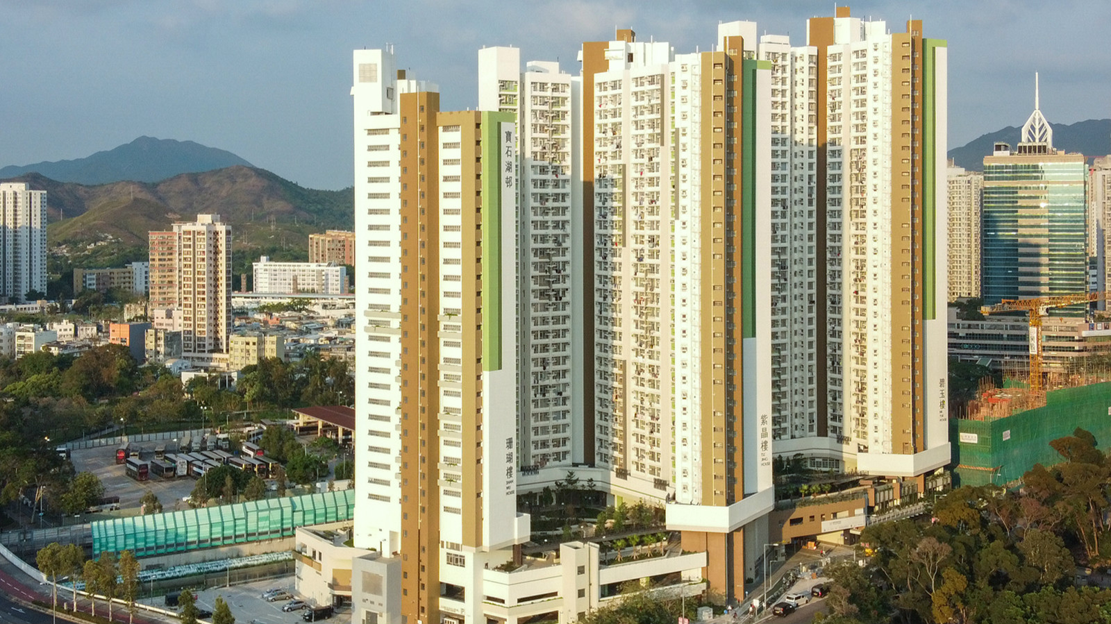 寶石湖邨單位沖廁水驚現活蟲 專家估計是搖蚊幼蟲