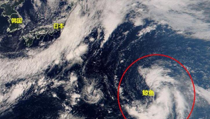 3股冷空氣+颱風「鯨魚」排著隊來！深圳十一天氣…...