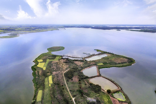 长江全流域司法协作模式初步形成