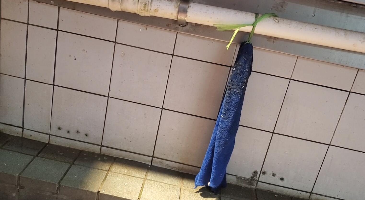 港大團隊視察街市魚檔 袁國勇憂共用毛巾致交叉感染