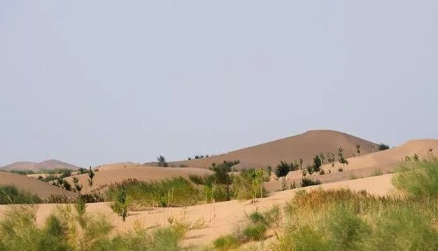 报告显示：中国对全球土地退化零增长贡献最大