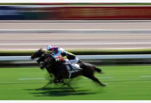 內地出台首個規劃促馬產業發展