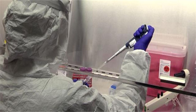 美國新冠肺炎確診病例超726萬例