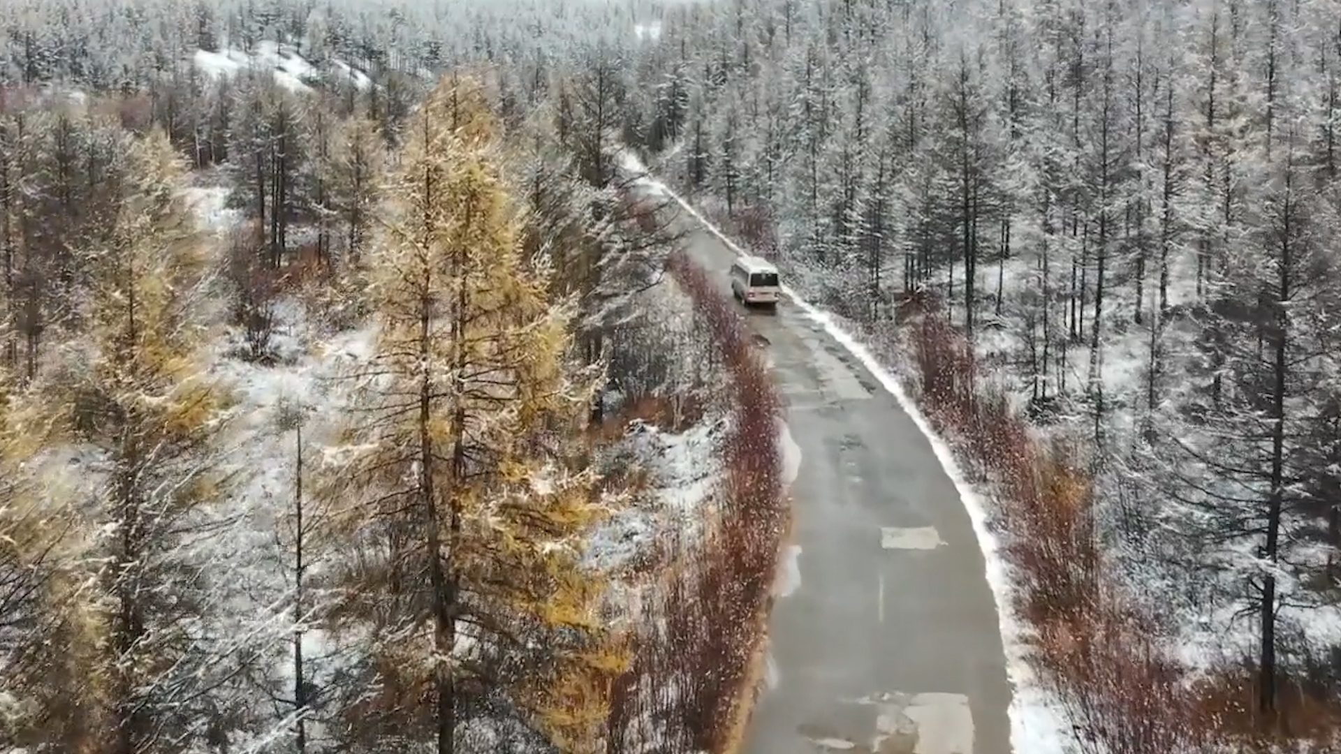 有片丨下雪啦！金色阿爾山披上銀裝