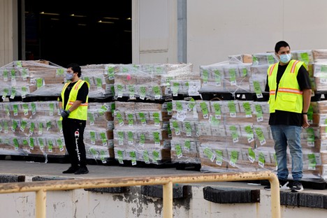 380萬美國人已投票 美大選投票率或創新高 