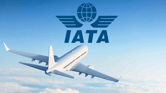 全球航空公司經營環境惡化 下半年每分鐘將燒錢232萬