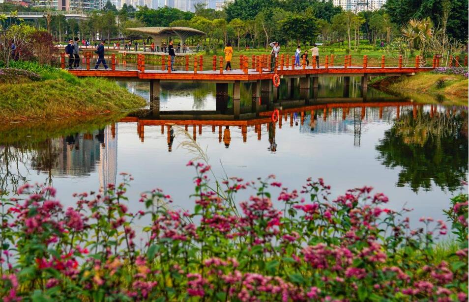 福田紅樹林及內伶仃島首次確權：全民所有