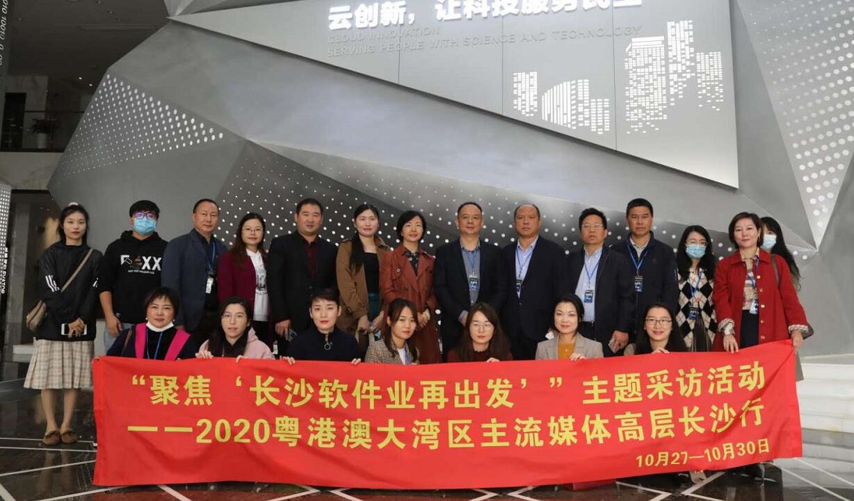 實力太硬核 長沙軟件業對接灣區正當時