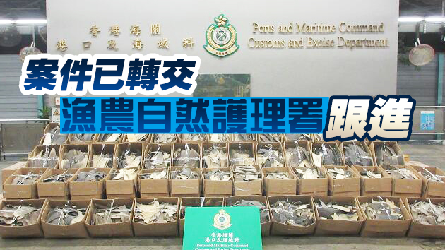 海關檢值約145萬元受管制乾魚翅