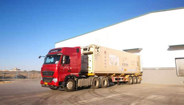 羊來了！首批12000隻蒙古羊加工後正運往武漢