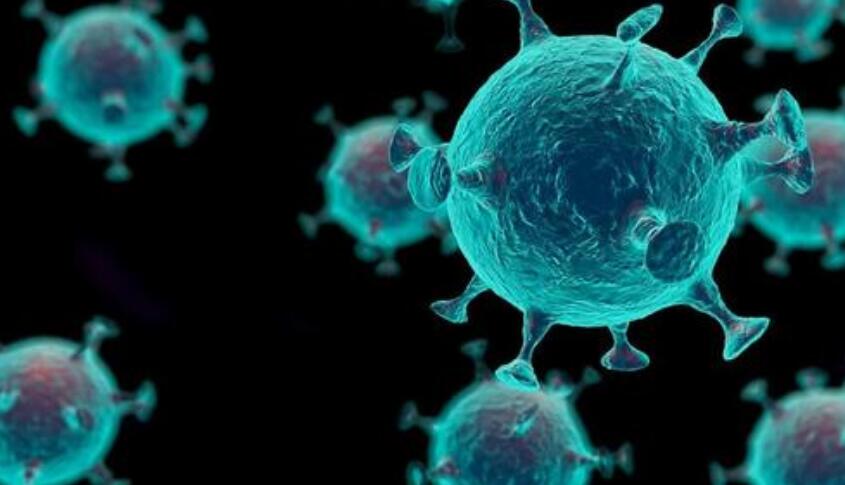 印度進口凍墨魚外包裝檢出新冠！海關總署採取緊急預防性措施