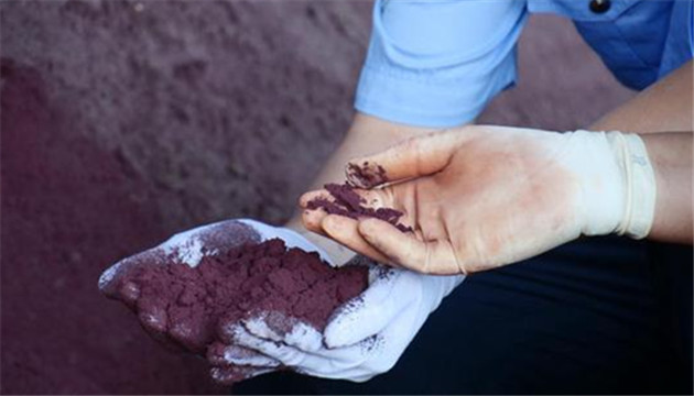 廣東湛江海關退運禁止進境固體廢物8.8萬噸