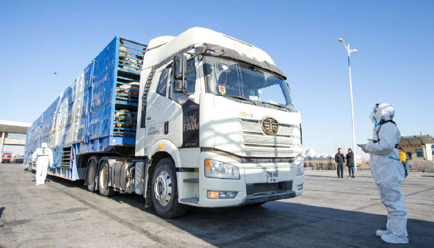 羊齊了！3萬隻蒙古捐贈羊全部抵達中國