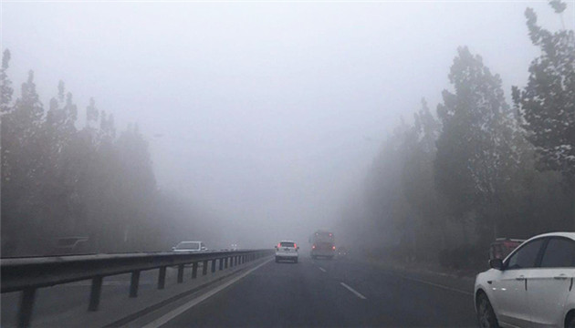 山東多地出現大霧天氣 局地能見度不足50米