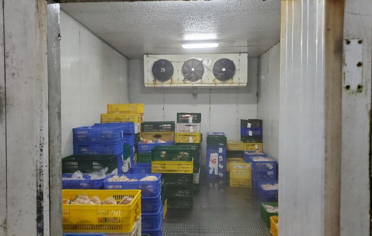 冷鏈食物包裝播毒 周三起凍房從業員可免費檢測