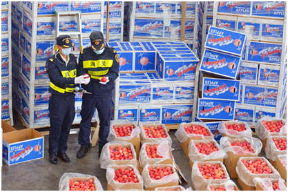 暢通關！深圳法治創新提升海關治理效能