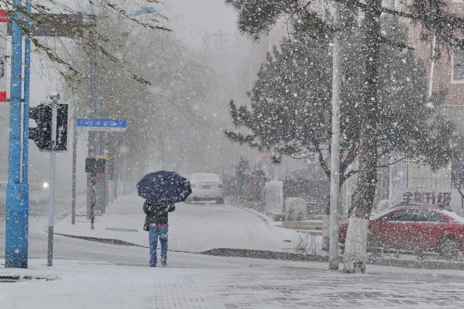  东北「凉」了！黑龙江连发20个暴雪预警 哈尔滨取消航班187架次