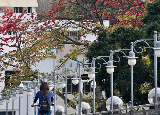 冷空氣今晚襲粵！最低直降6℃