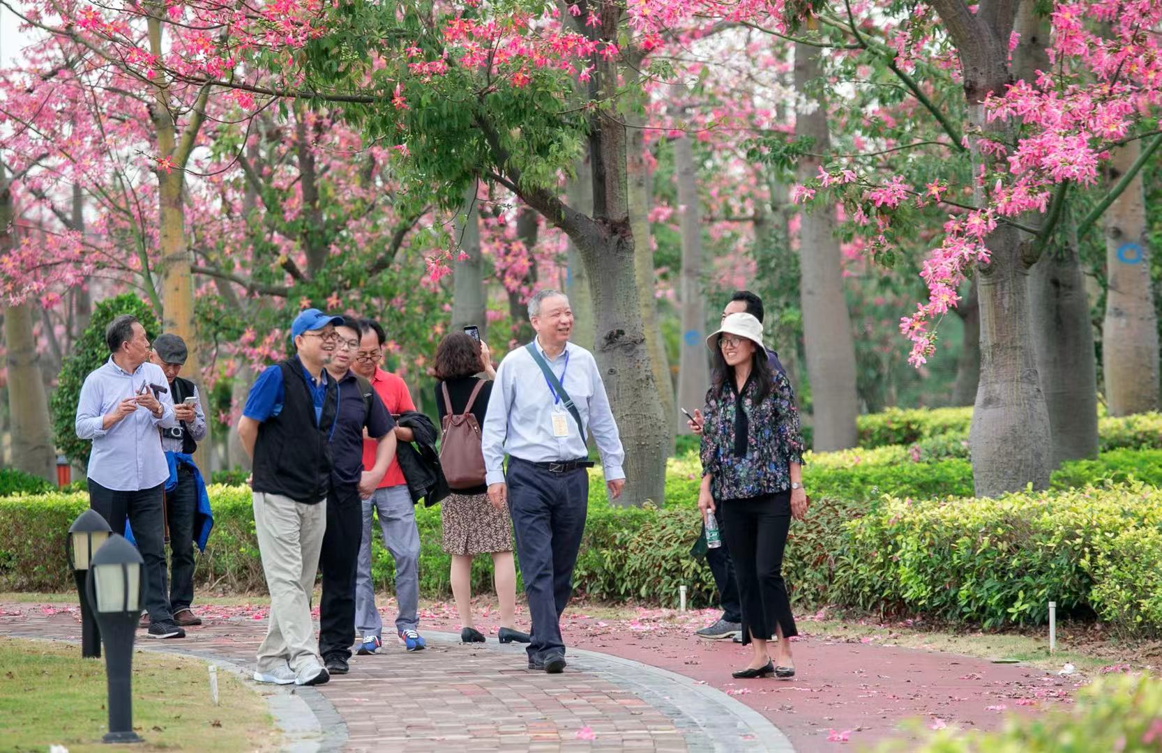 作家談橫琴文旅產業：文化為底色 更易吸引遊客