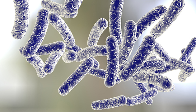 衛生署：78歲男子染退伍軍人症已去世