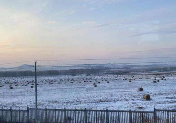 黑土保護見成效 黑龍江省5年耕層平均變「厚」3.5厘米